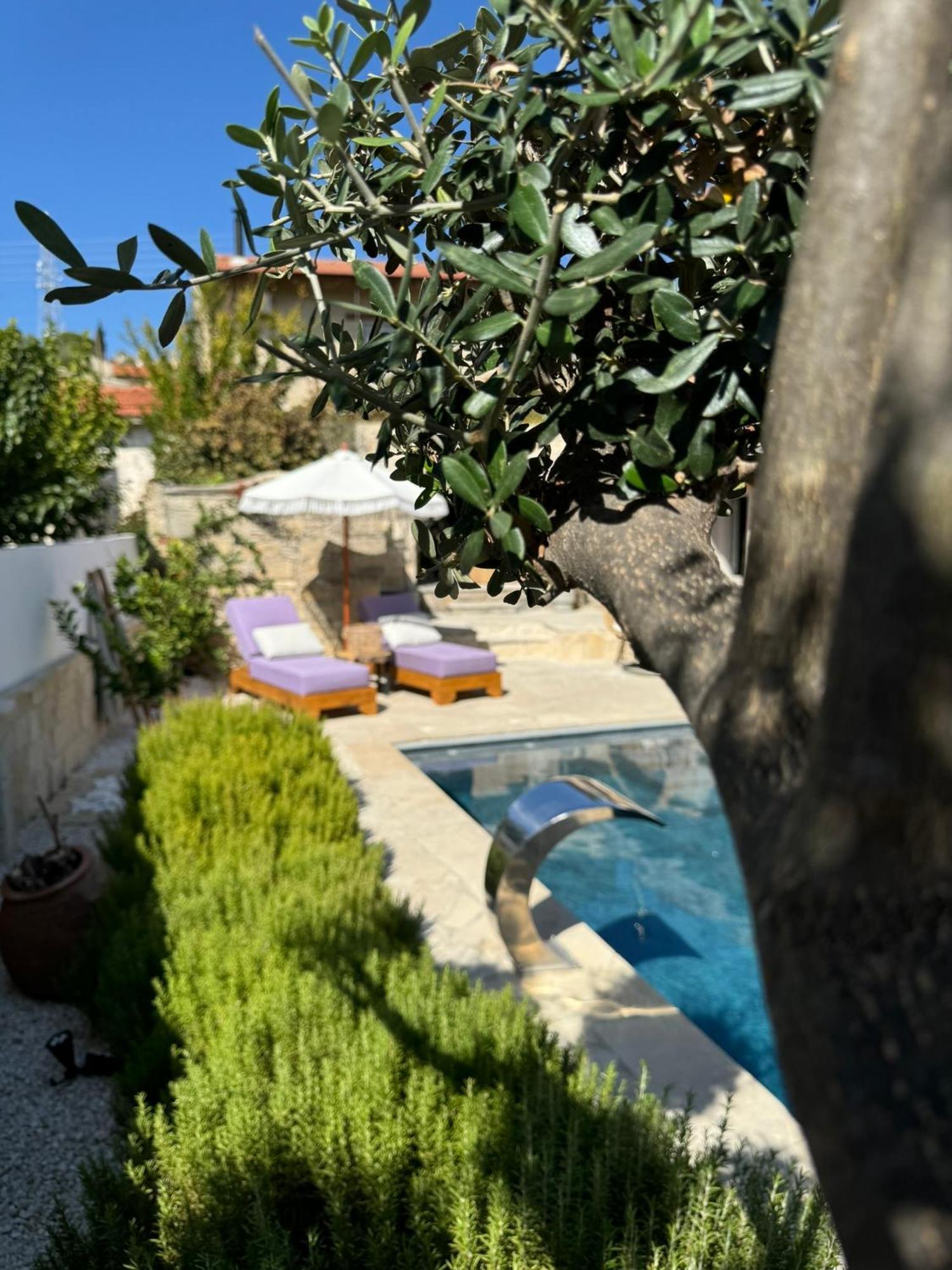 Fig&Olive Luxury One Bedroom Boutique In Pachna ليماسول المظهر الخارجي الصورة